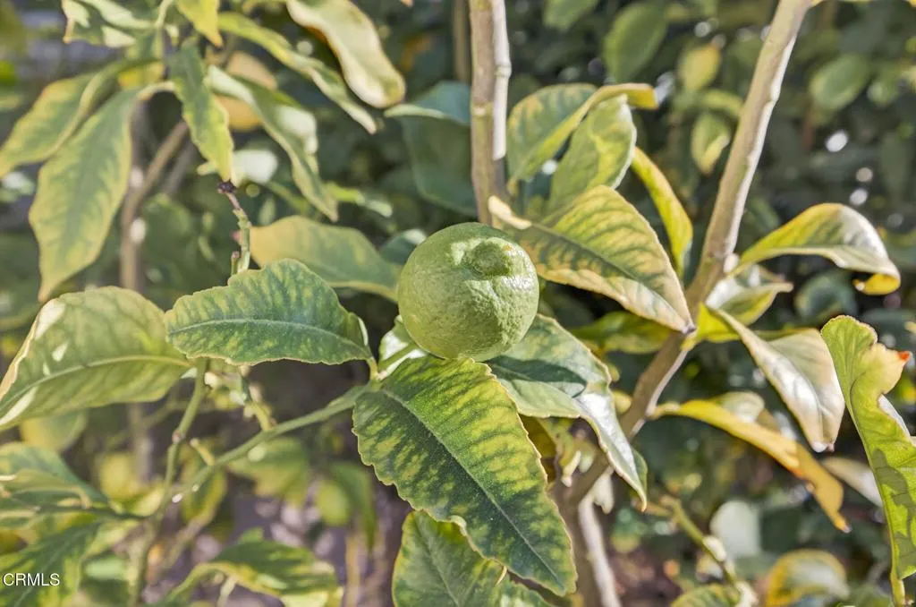 Additional image 38 of 2914 Naples Drive, Oxnard, CA 93035