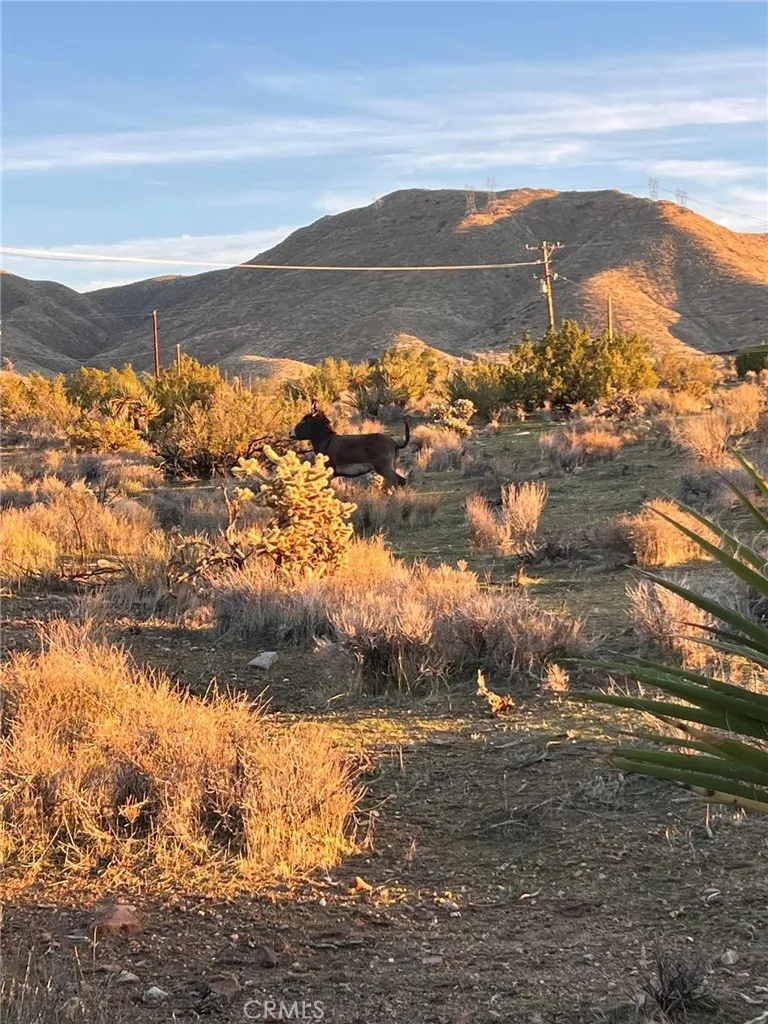 Additional image 49 of 20240 Juniper Rd, Apple Valley, CA 92308