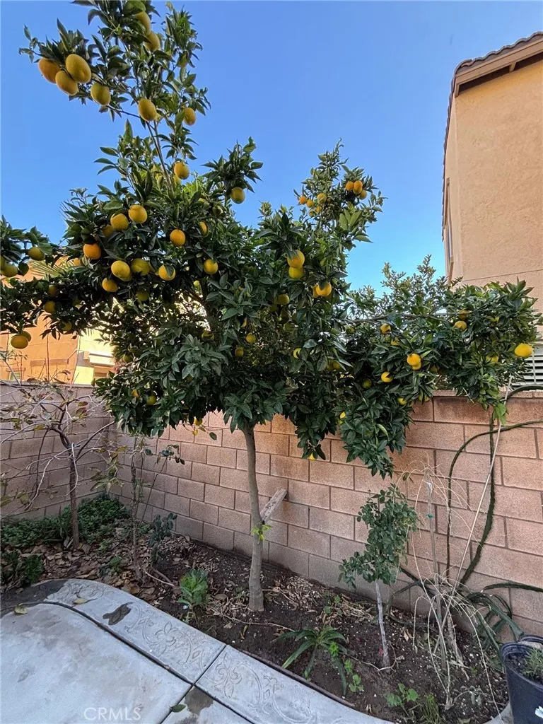 Additional image 31 of 4863 S Bountiful Trail, Ontario, CA 91762