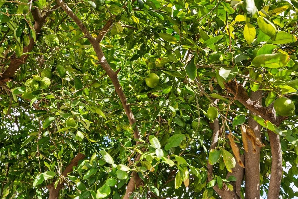 Additional image 56 of 913 S Diamond St, Santa Ana, CA 92704