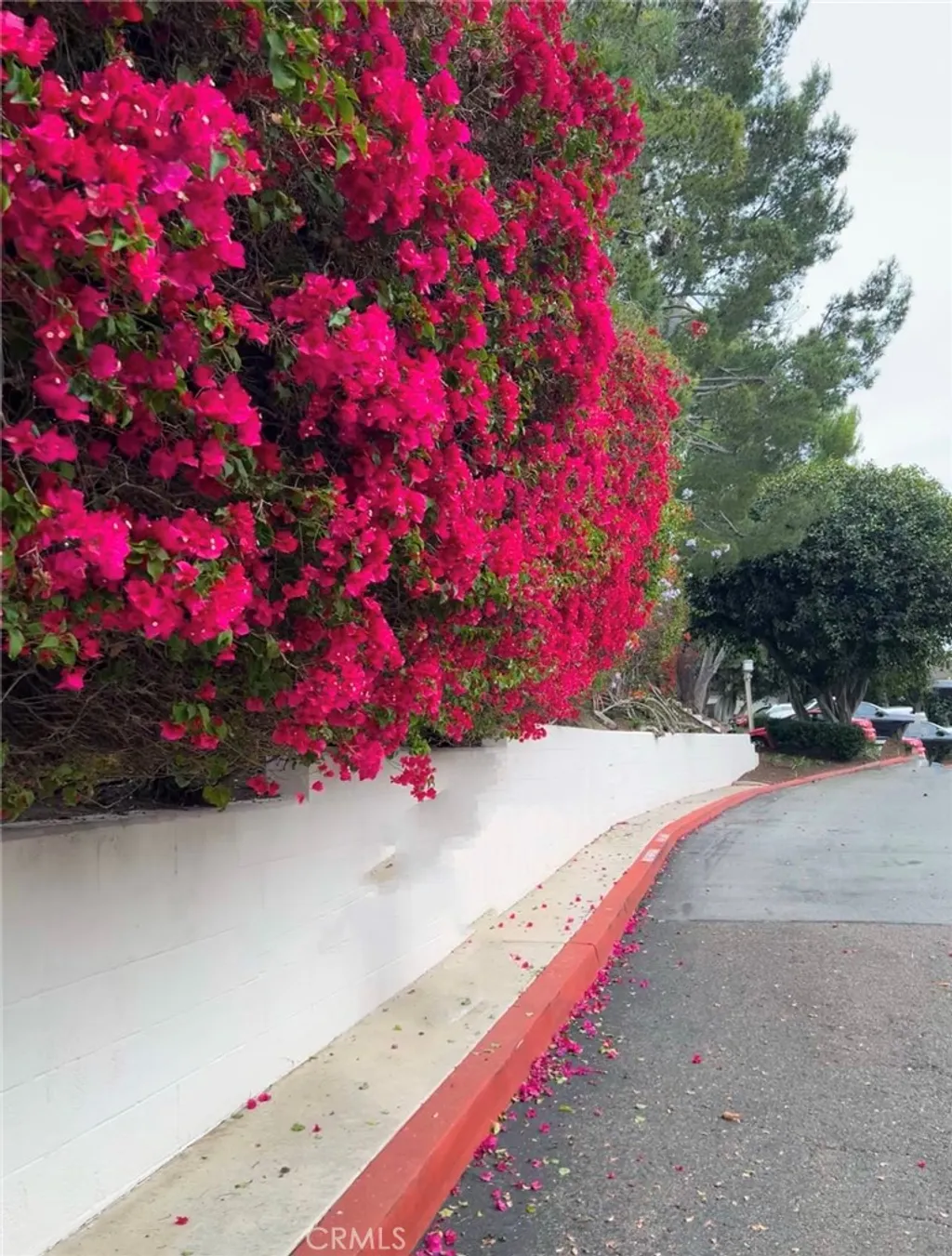 Additional image 41 of 67 Sea Island Drive, Newport Beach, CA 92660