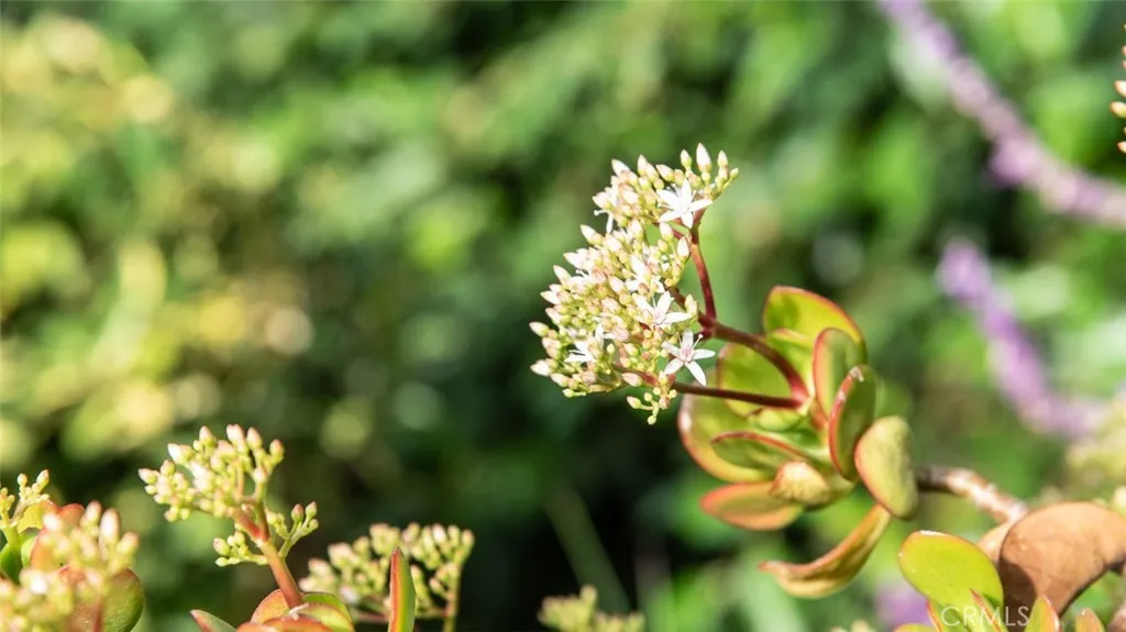 Additional image 80 of 28916 Valley Heights Dr, Agoura Hills, CA 91301