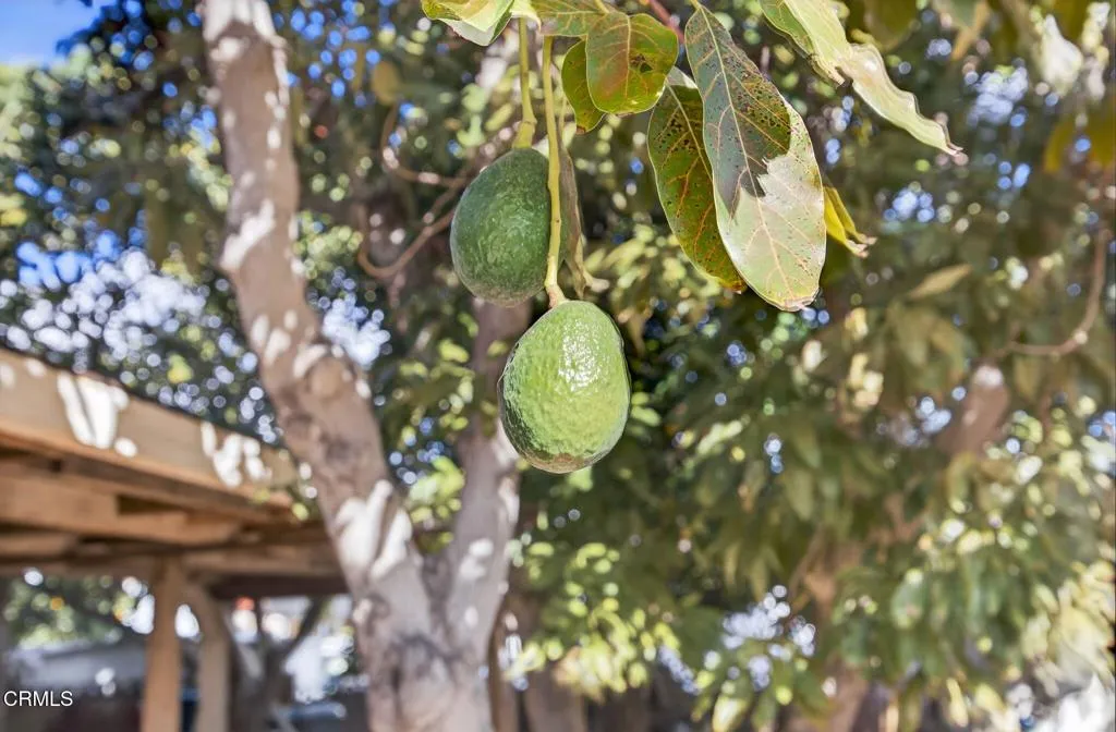 Additional image 95 of 729 Ralph Way, Santa Paula, CA 93060