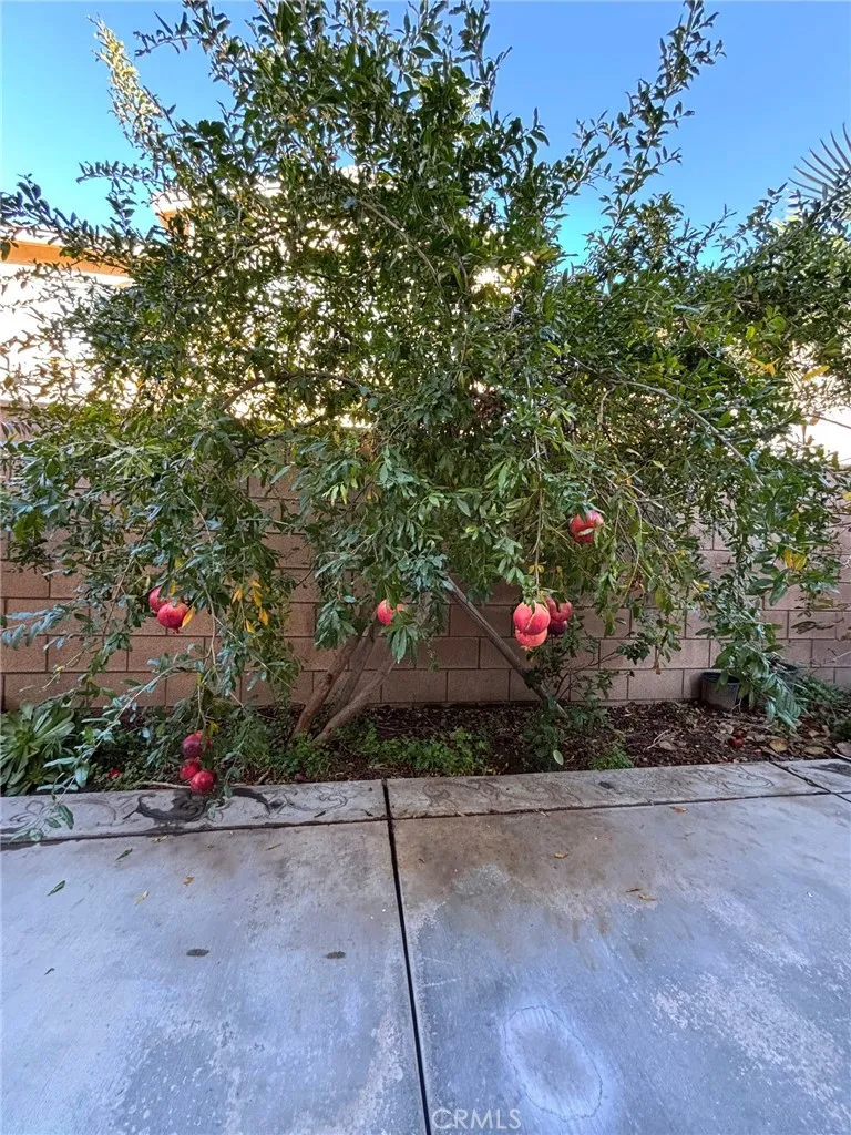 Additional image 32 of 4863 S Bountiful Trail, Ontario, CA 91762