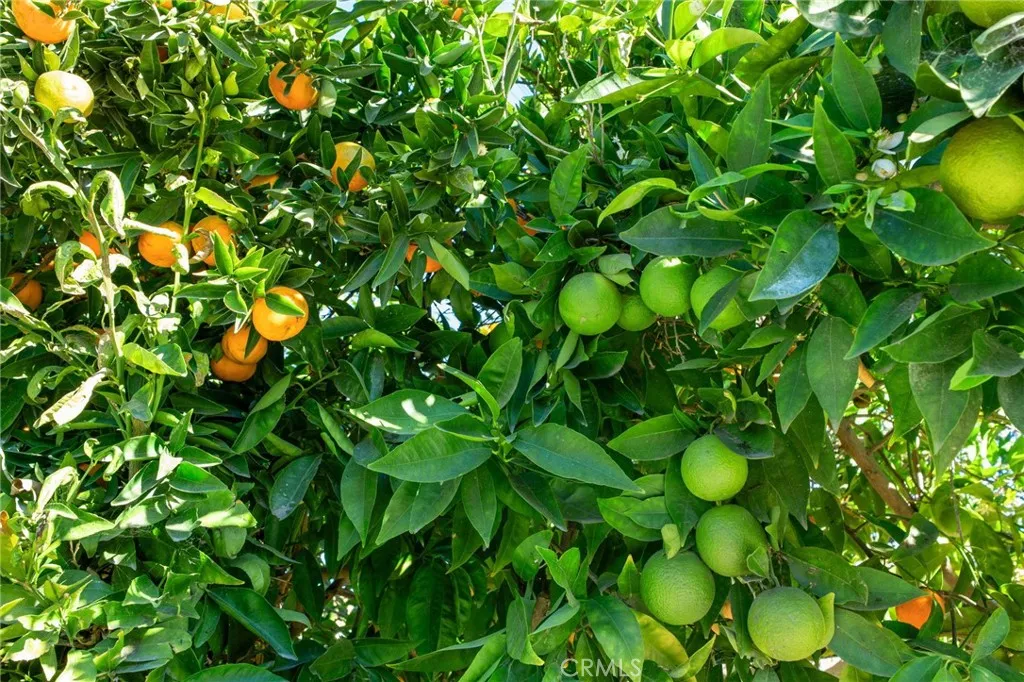 Additional image 43 of 509 S Glenarbor St, Santa Ana, CA 92704