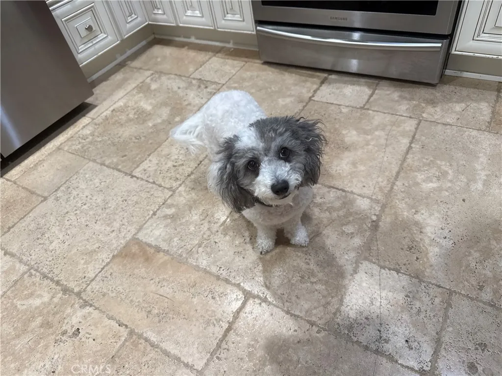 Additional image 11 of 716 N Grand Ave Unit D-3, Covina, CA 91724