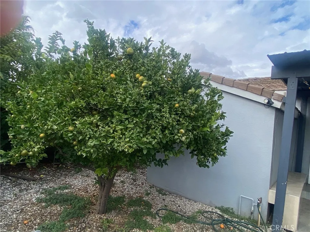 Additional image 14 of 2035 W 15th St, Long Beach, CA 90813