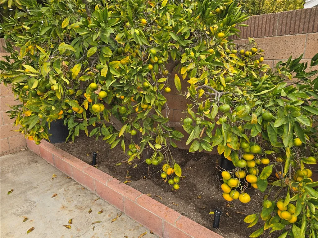 Additional image 70 of 3115 W Teranimar Dr, Anaheim, CA 92804