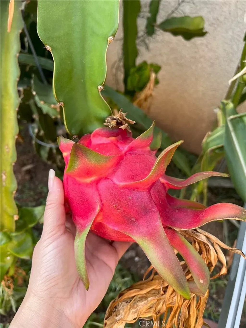 Additional image 25 of 1662 Palermo Dr, Riverside, CA 92507