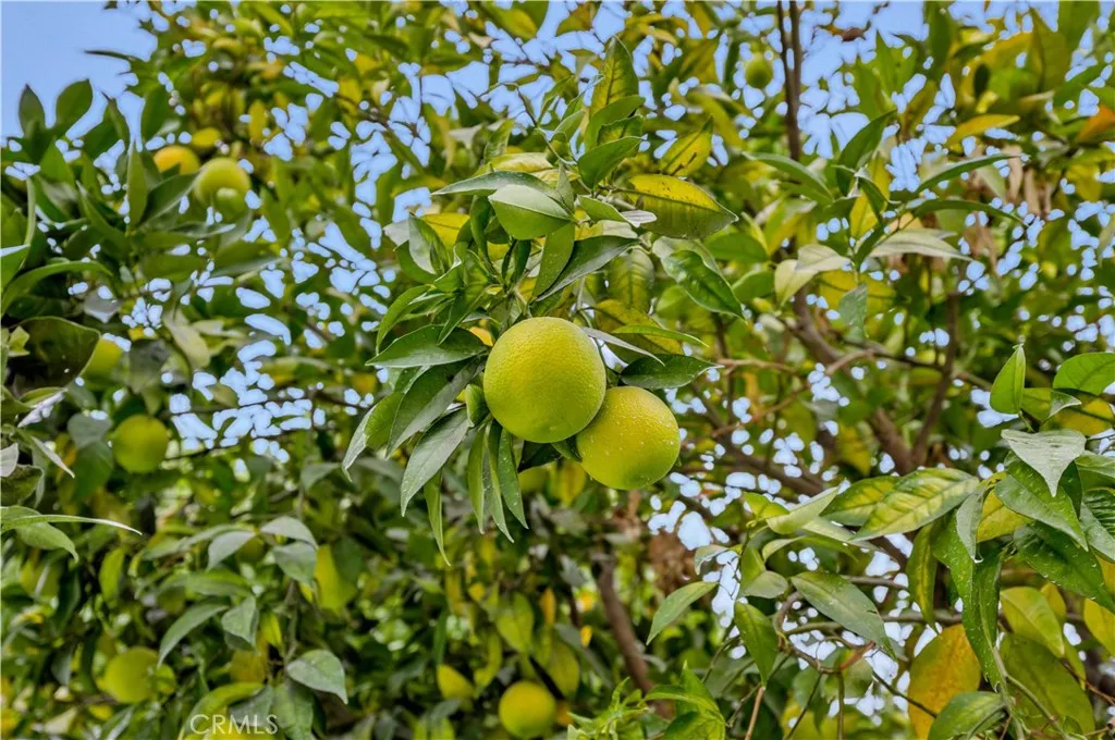 Additional image 62 of 1210 Carmela Lane, La Habra, CA 90631