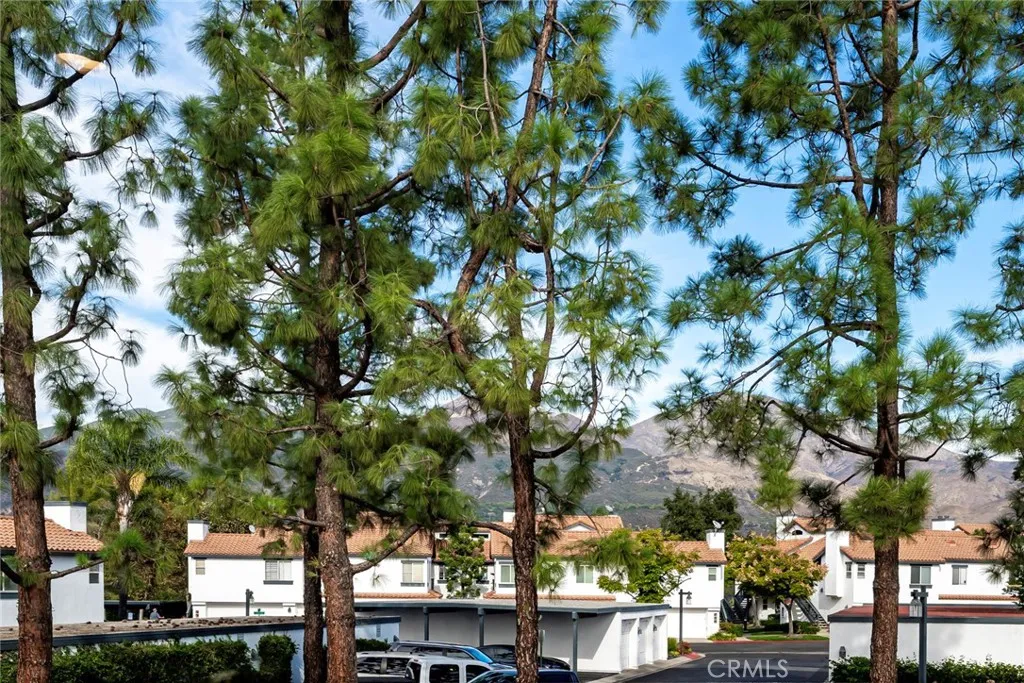 Additional image 15 of 6 Dianthus, Rancho Santa Margarita, CA 92688