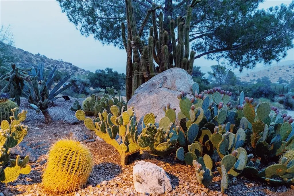 Additional image 44 of 48938 Mockingbird Lane, Morongo Valley, CA 92256