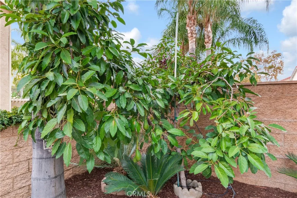 Additional image 65 of 1617 Waterford Ave, Redlands, CA 92374