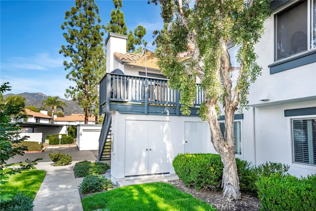 Additional image 5 of 6 Dianthus, Rancho Santa Margarita, CA 92688