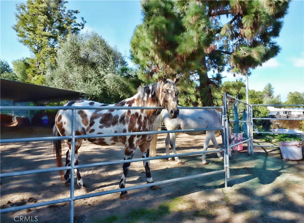 Additional image 10 of 2321 Carriage Dr, Rolling Hills Estates, CA 90274