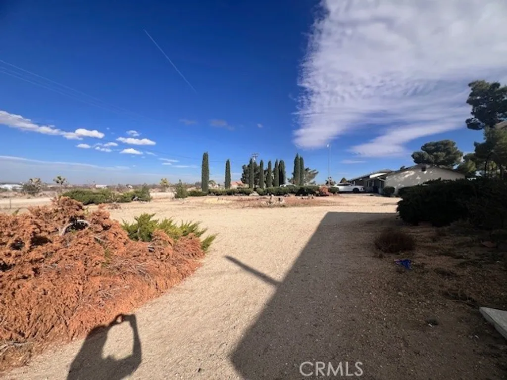 1677 Del Rosa Rd, Pinon Hills, CA 92372