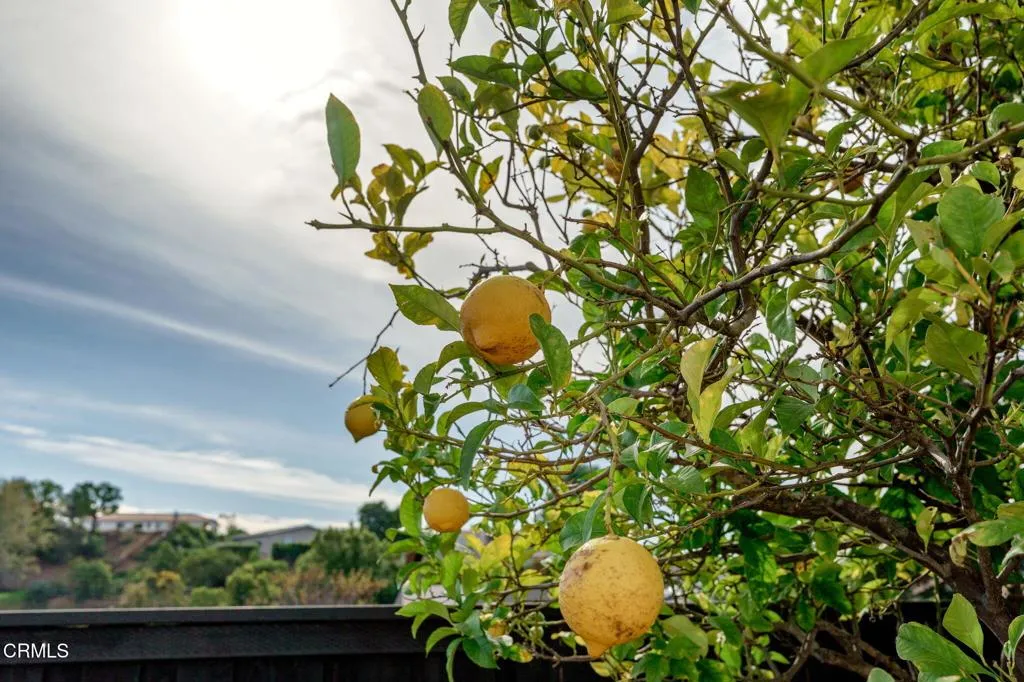 Additional image 52 of 1020 Via Cielito, Ventura, CA 93003