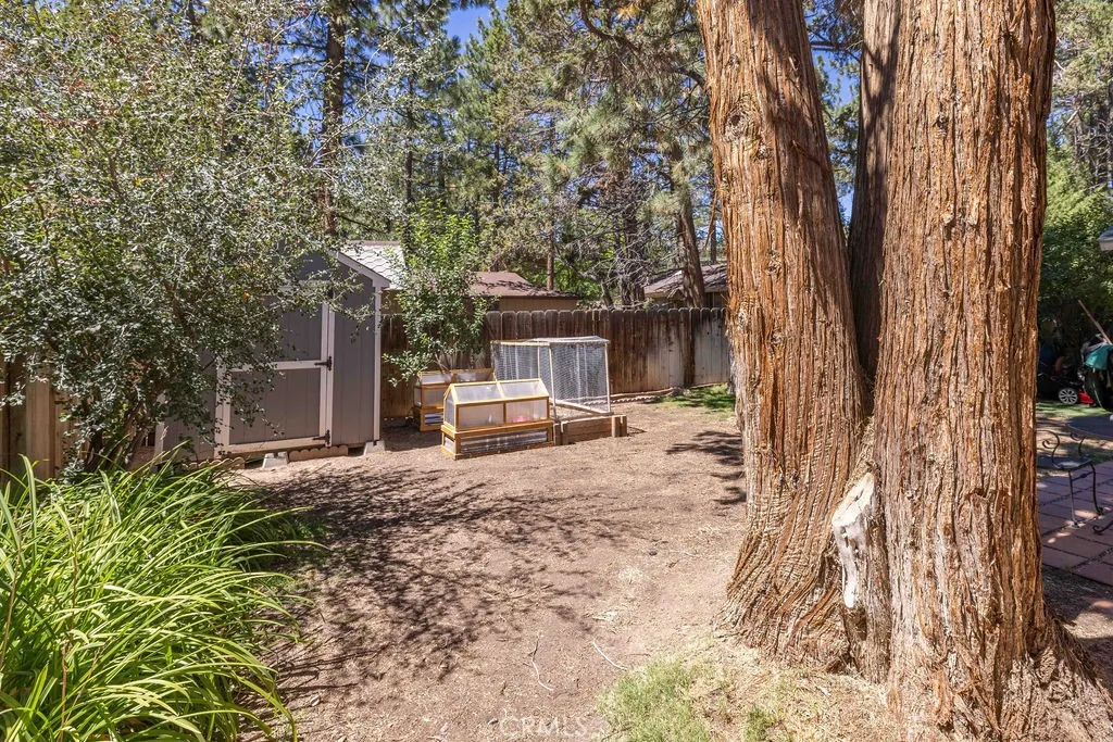Additional image 35 of 945 Tinker Bell Avenue, Big Bear City, CA 92314