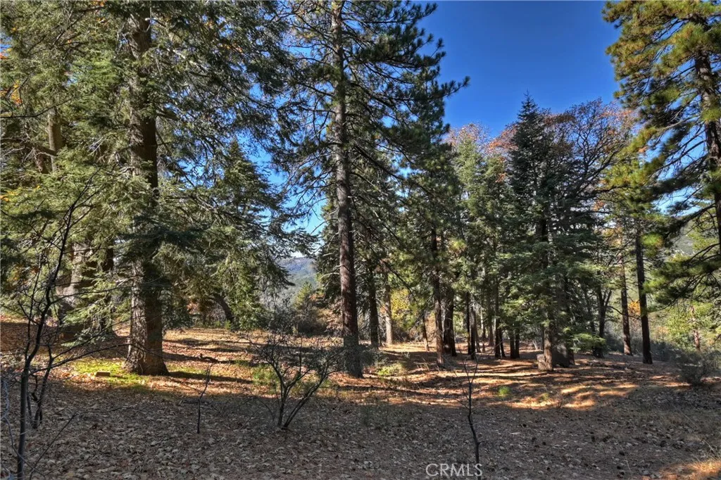 Additional image 27 of 30580 Live Oak Dr, Running Springs, CA 92382