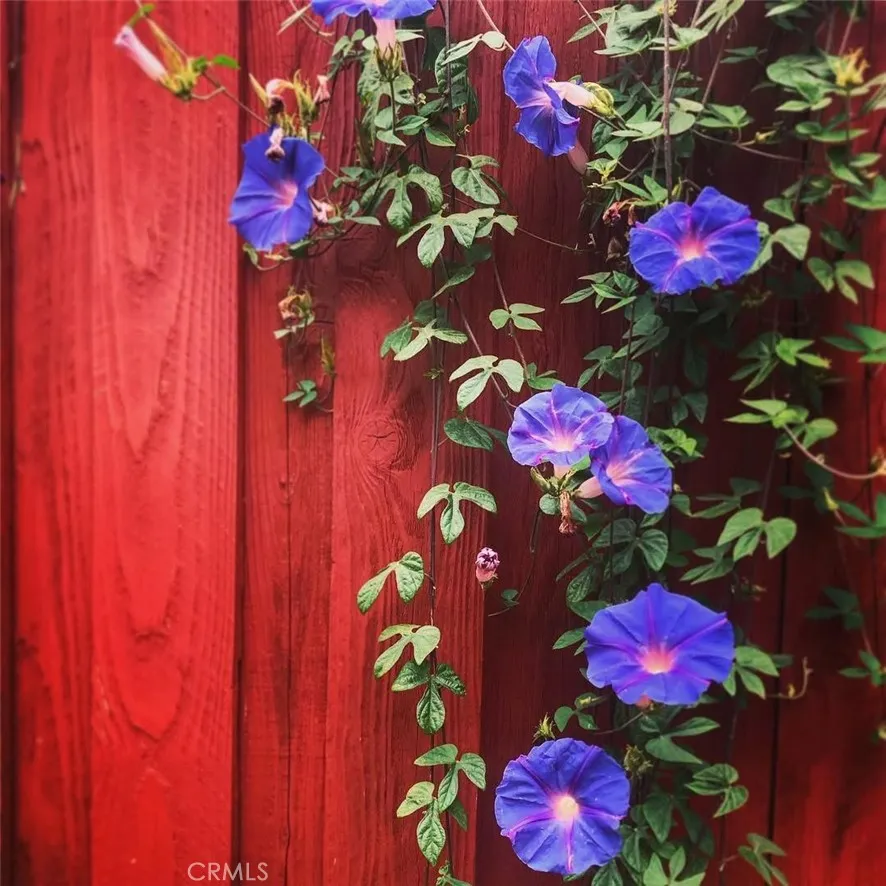 Additional image 68 of 31710 Corte Esparza, Temecula, CA 92592