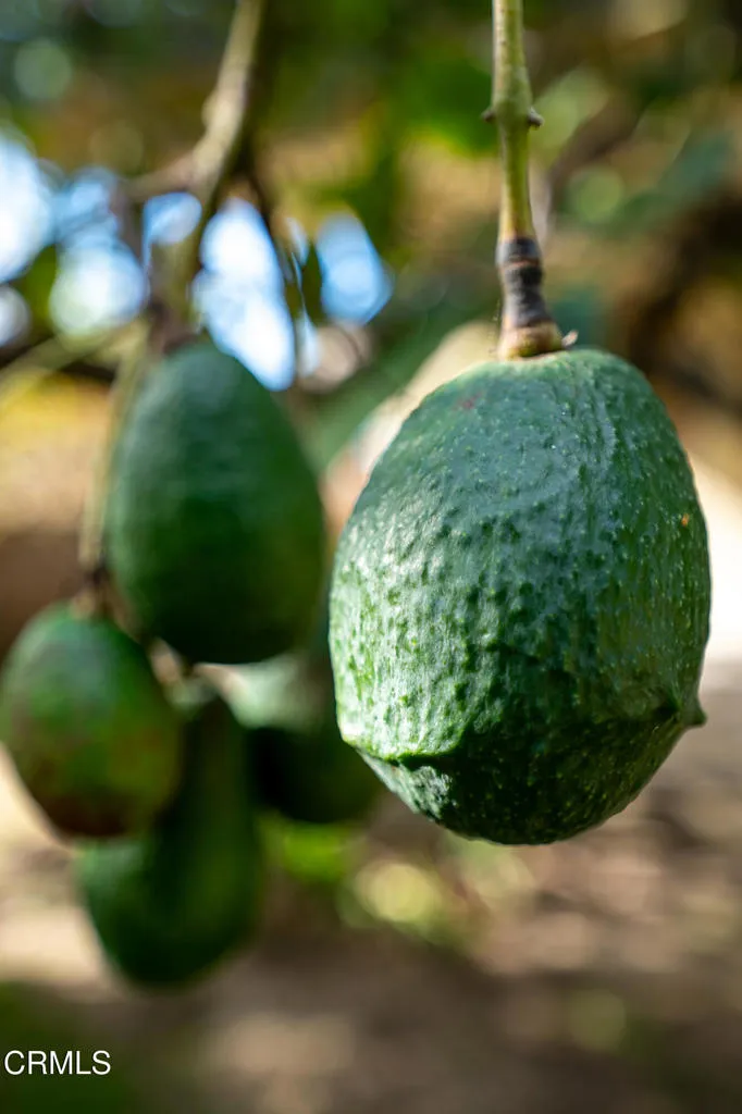 Additional image 58 of 7092 Harmon Drive, Ventura, CA 93003