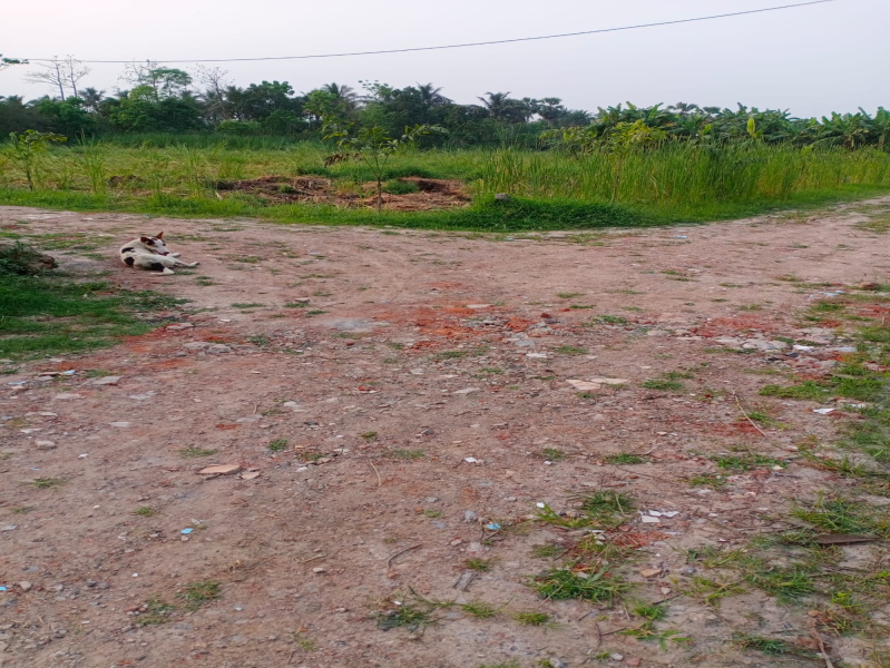 Additional image 3 of Joka, Kolkata