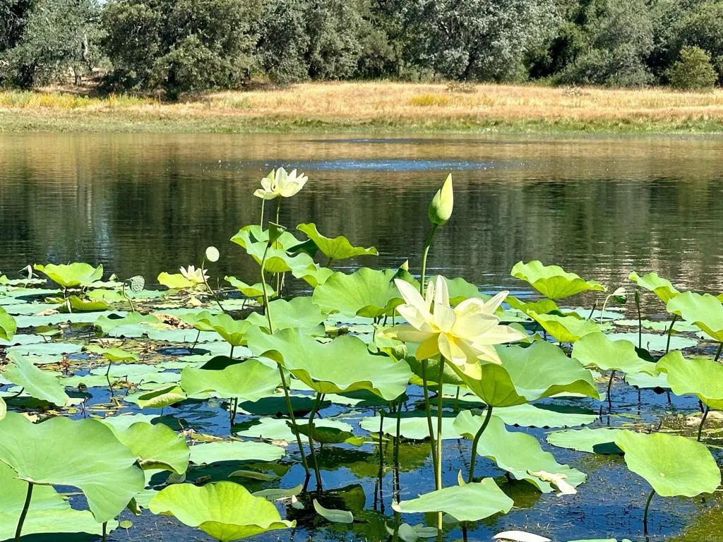 Additional image 49 of 25258 Black Canyon Road, Santa Ysabel, CA 92070
