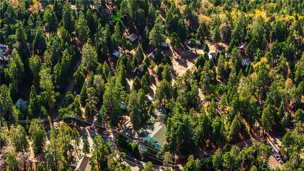 Additional image 74 of 25807 State Highway 189, Twin Peaks, CA 92391