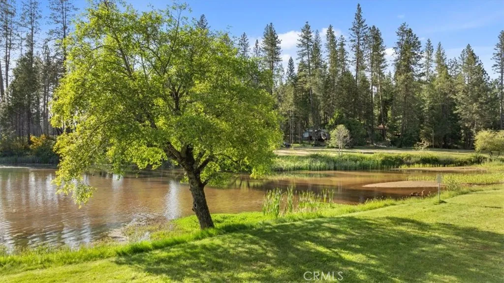 Additional image 43 of 11 Toyon Trl, Berry Creek, CA 95916