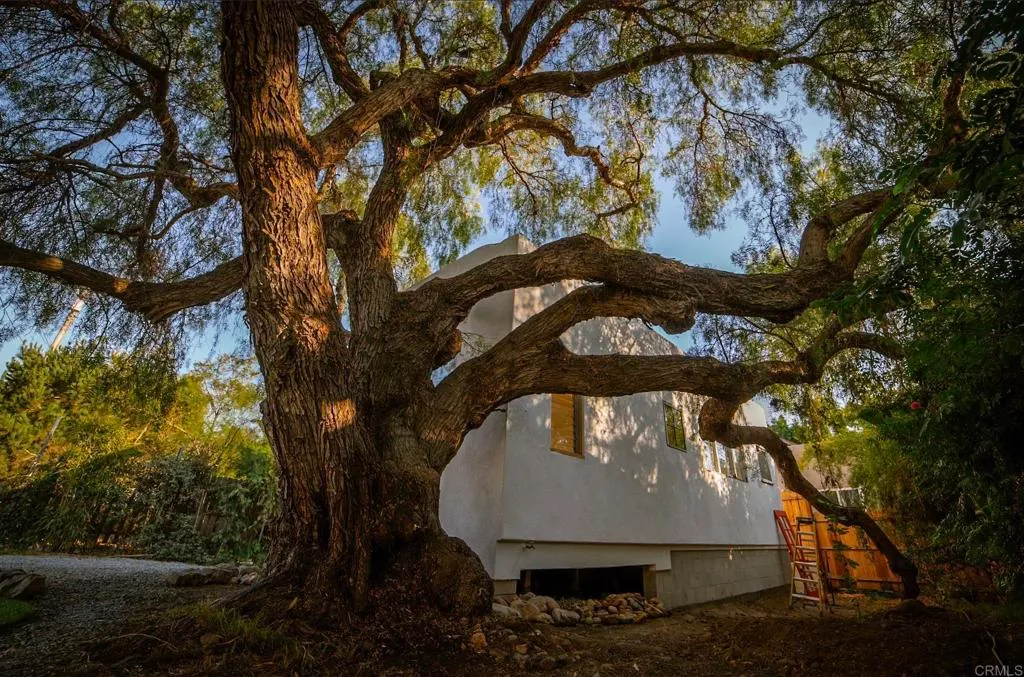 Additional image 11 of 362 Palm Avenue, Chula Vista, CA 91911