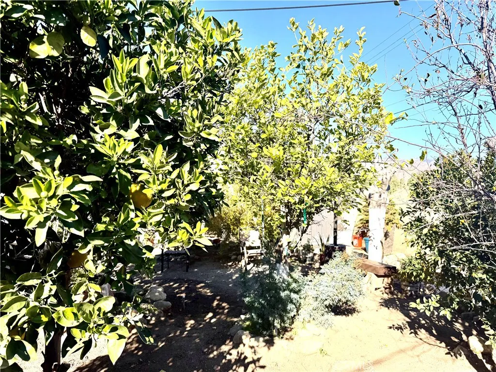 Additional image 16 of 1282 N Phillips St, Banning, CA 92220