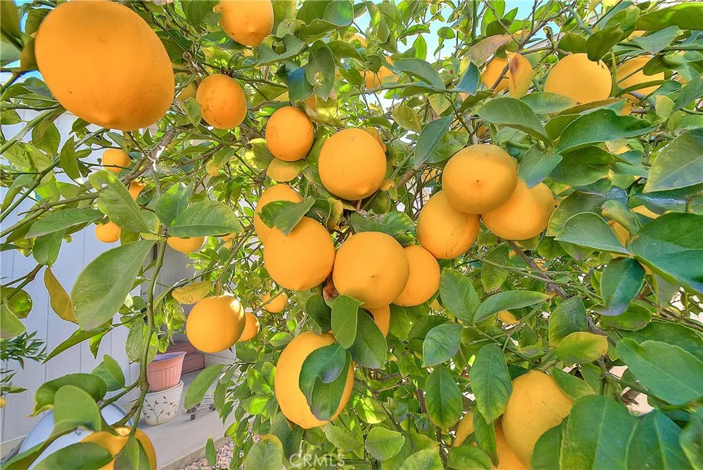 Additional image 48 of 3530 Damien Ave Unit 212, La Verne, CA 91750