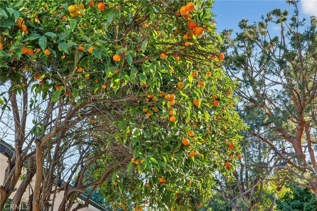 Additional image 34 of 7100 E Atherton Drive, Long Beach, CA 90815