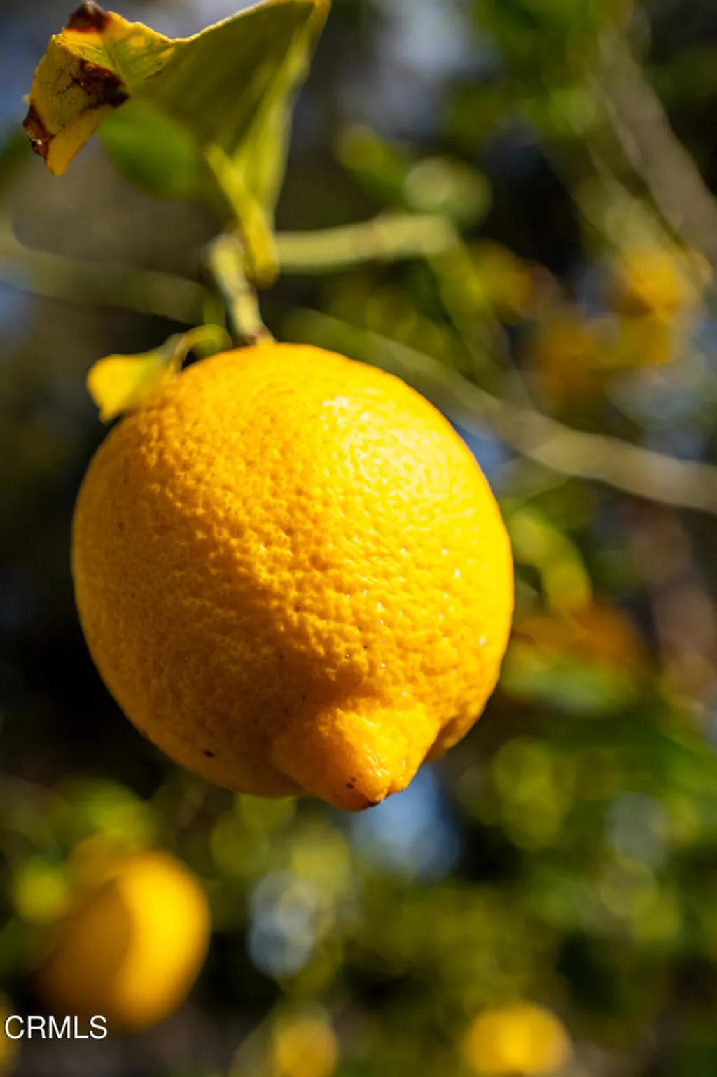 Additional image 27 of 7092 Harmon Drive, Ventura, CA 93003