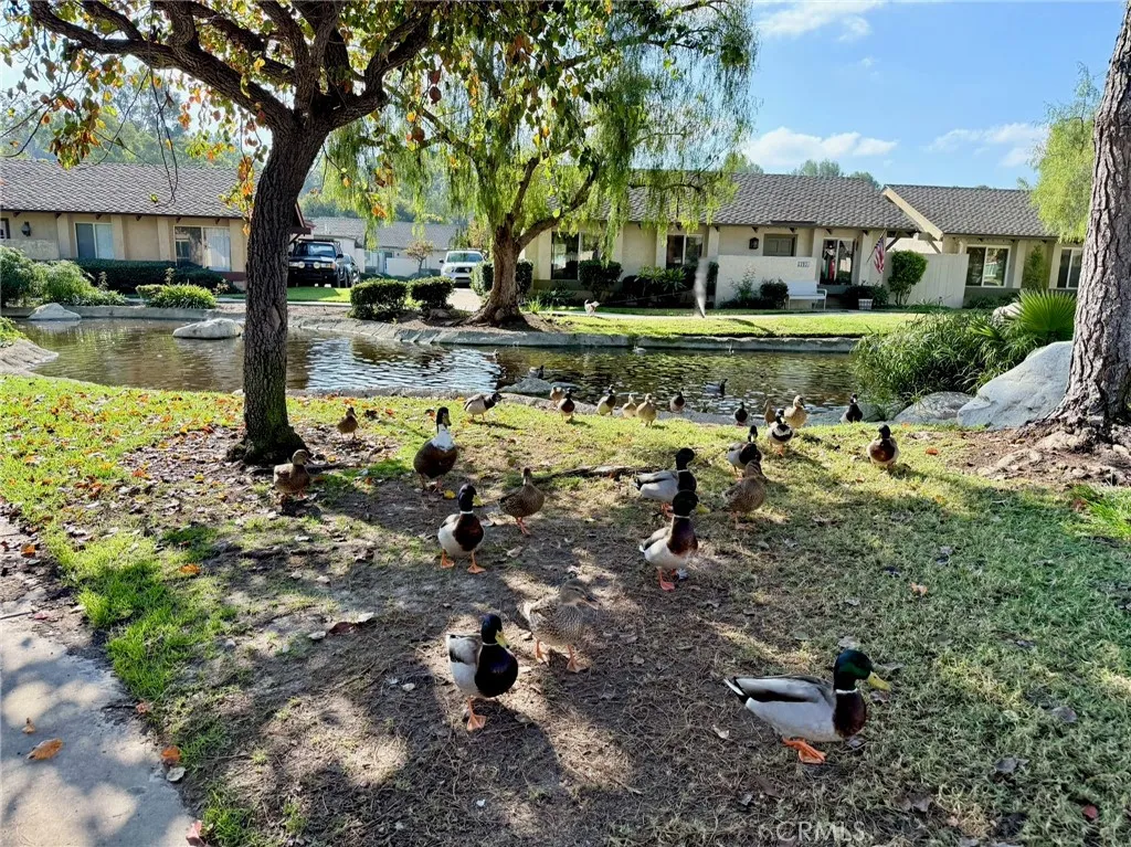 Additional image 32 of 22901 Caminito Flores Unit 130, Laguna Hills, CA 92653