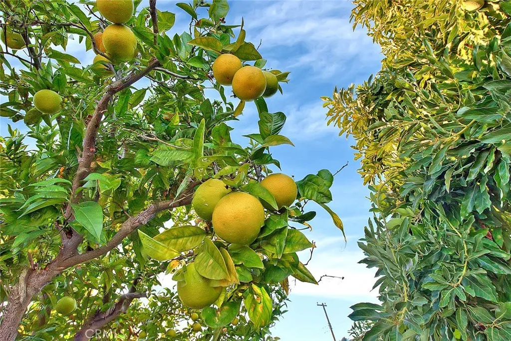 Additional image 50 of 12711 Tunstall St, Garden Grove, CA 92845