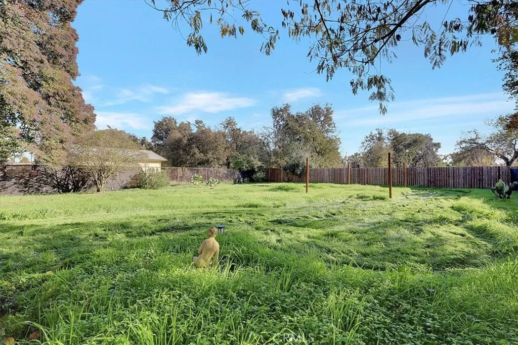 Additional image 74 of 355 Aleut Street, Biggs, CA 95917