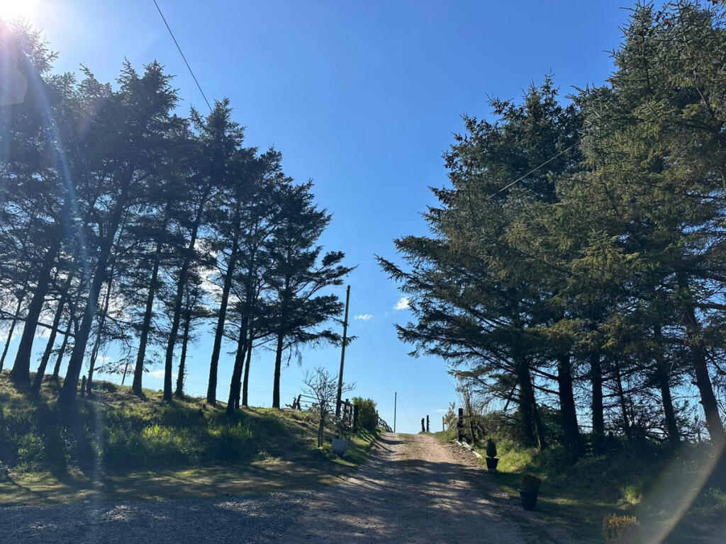 Additional image 24 of Cross Slacks, Banff, AB45