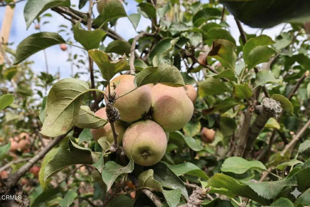 Additional image 10 of 8373 Wabash Street, Ventura, CA 93004