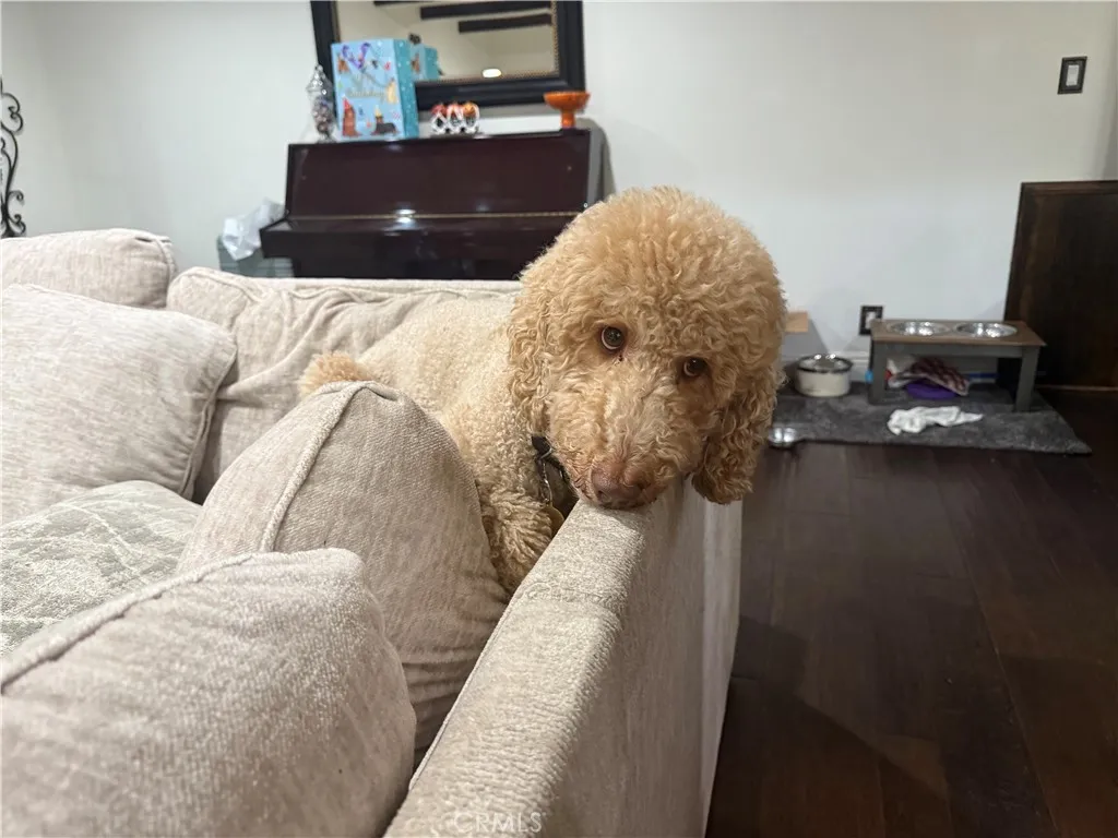 Additional image 69 of 716 N Grand Ave Unit D-3, Covina, CA 91724