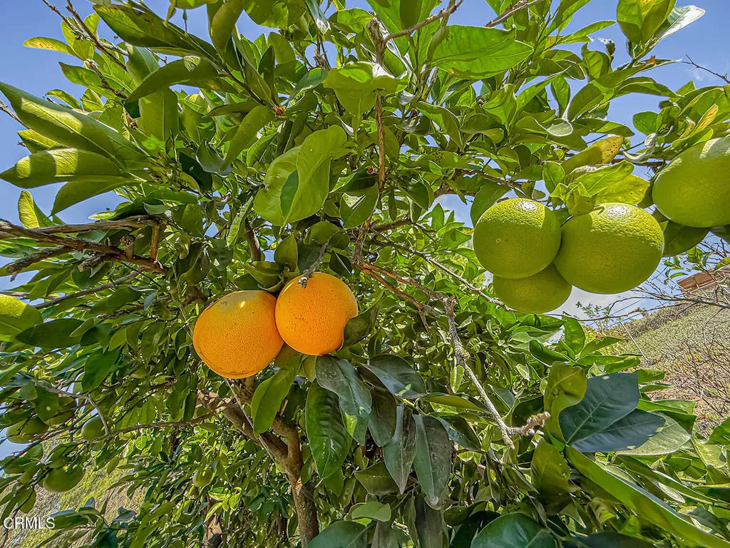 Additional image 35 of 1450 Corte De Primavera, Thousand Oaks, CA 91360