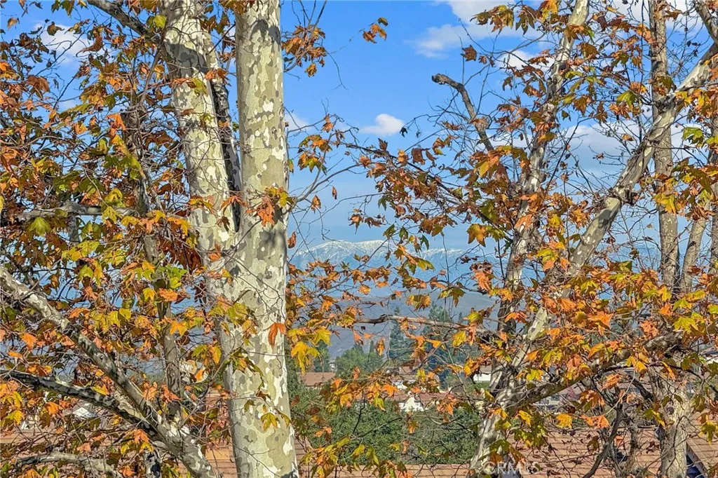 Additional image 92 of 6535 E Paseo Murillo, Anaheim, CA 92807