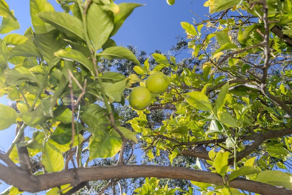 Additional image 105 of 6568 Belhaven Court, Rancho Cucamonga, CA 91701