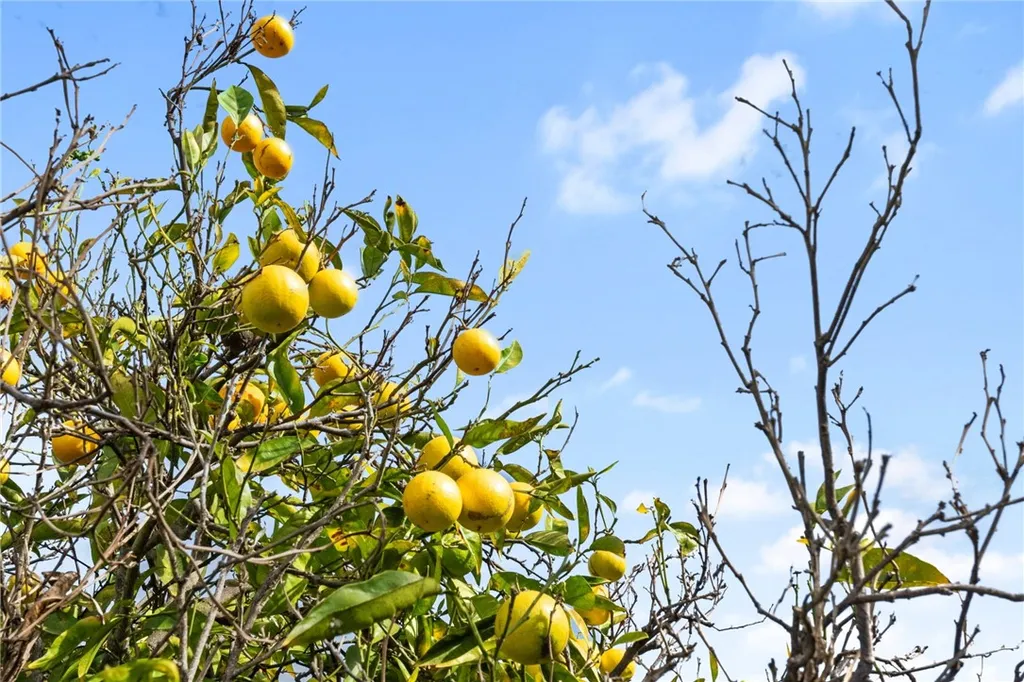 Additional image 29 of 1559 Lucky Street, Oceanside, CA 92054