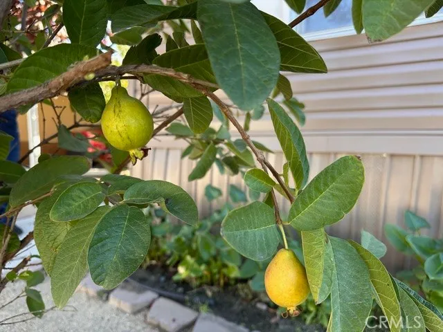 Additional image 32 of 913 S Grand Avenue Unit 172, San Jacinto, CA 92582