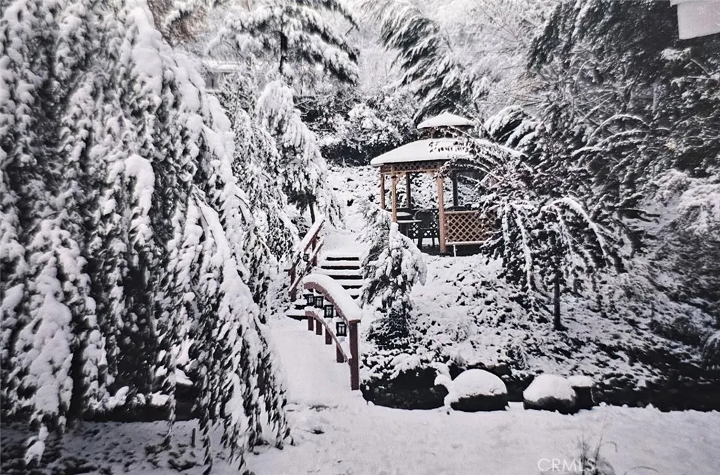 Additional image 96 of 323 Alder, Lytle Creek, CA 92358