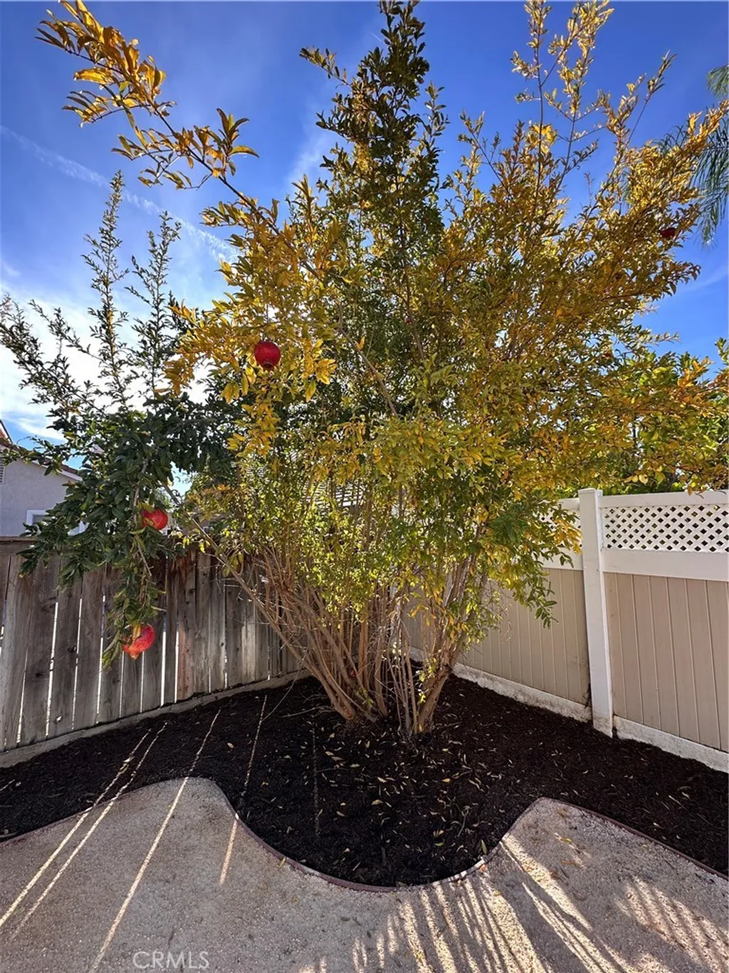 Additional image 19 of 1054 E. Commonwealth Avenue, San Jacinto, CA 92583