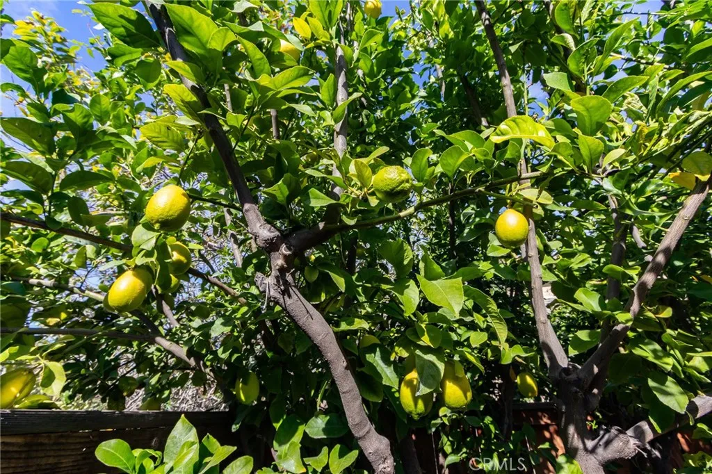 Additional image 39 of 1922 Alta Street, Redlands, CA 92374