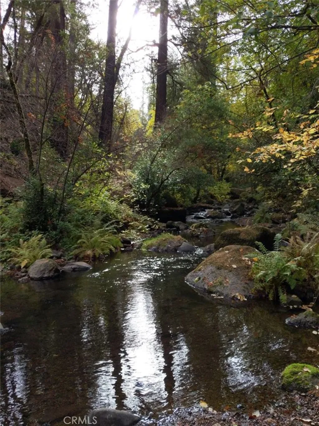 Additional image 60 of 15960 Bottle Rock Rd, Cobb, CA 95426