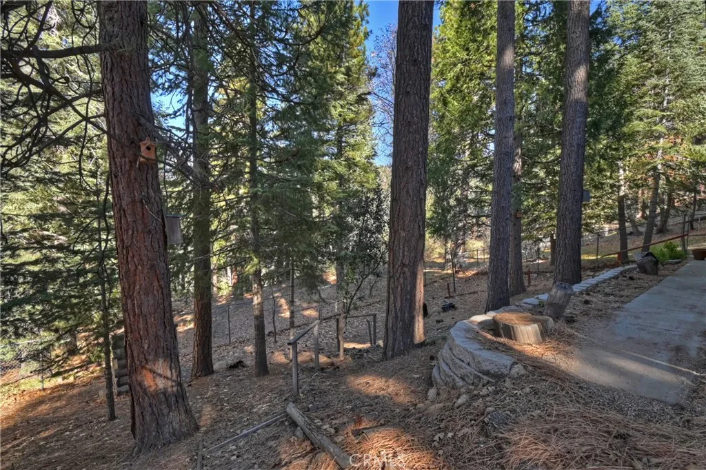 Additional image 58 of 30580 Live Oak Dr, Running Springs, CA 92382